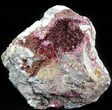 Vivid Magenta-Red Roselite Microcrystals - Morocco #44763-1